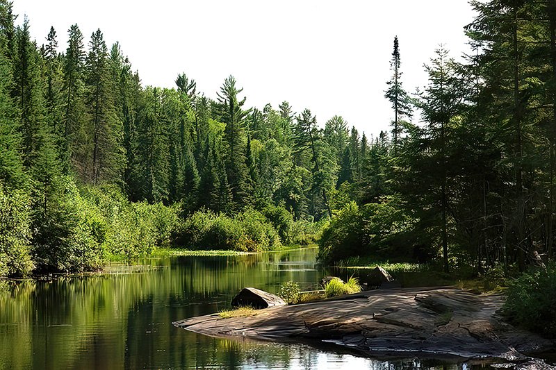 Tree lined River, Madawaska