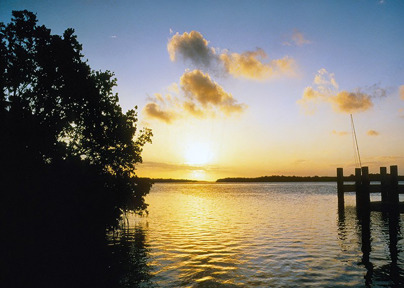 Biscayne Bay, view from shore