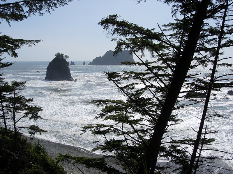 Coastal beach