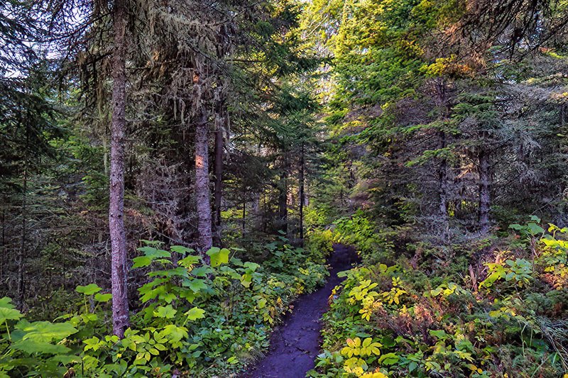 Hiking at Isle Royale National Park, from Rock Harbor Campground to Three Mile Campground, along the shore of Lake Superior. Tony Webster from Minneapolis, Minnesota, United States, CC BY-SA 2.0