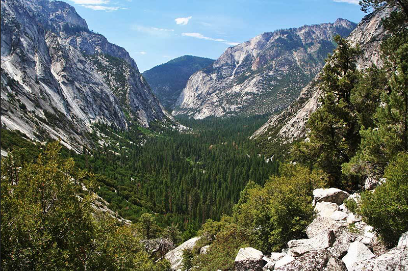 Forested canyon, with peaks either side