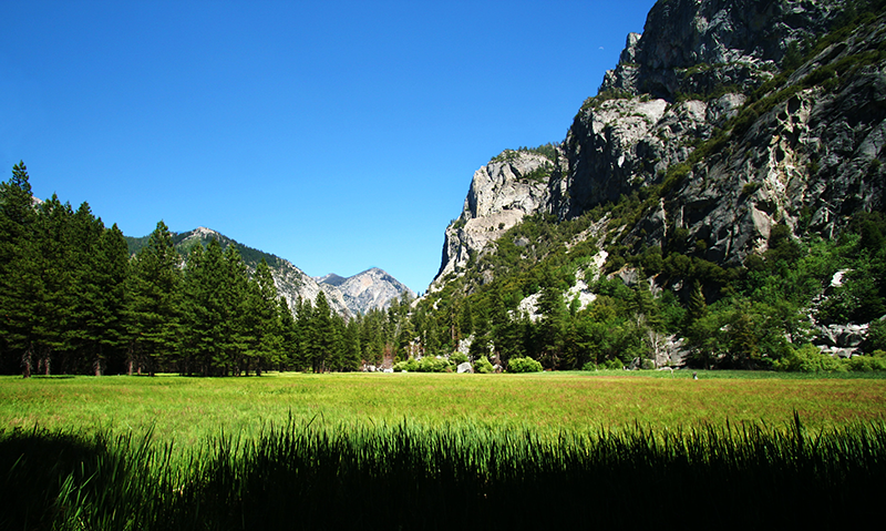 Zumwalt meadow, with mountains in background