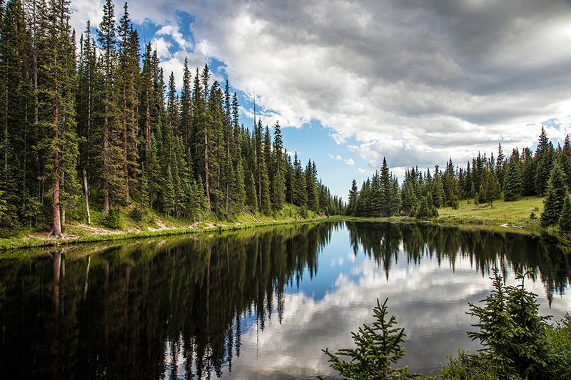 Tree-lined lake, reflecting cloudy sky