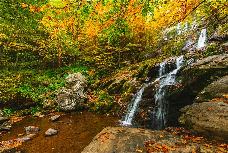 Dark Hollow Falls, fall colors set against a rocky stream