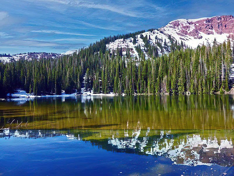 Williams Lake, reflecting trees and mtns