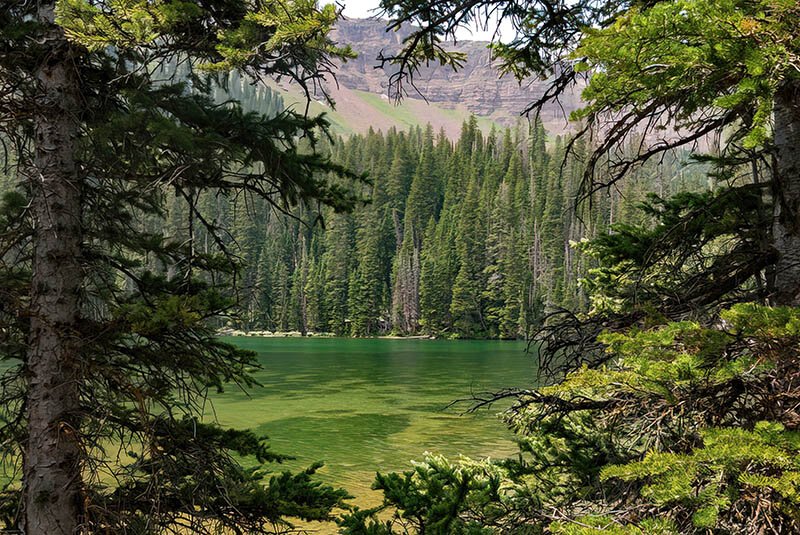 Williams Lake view from the trail